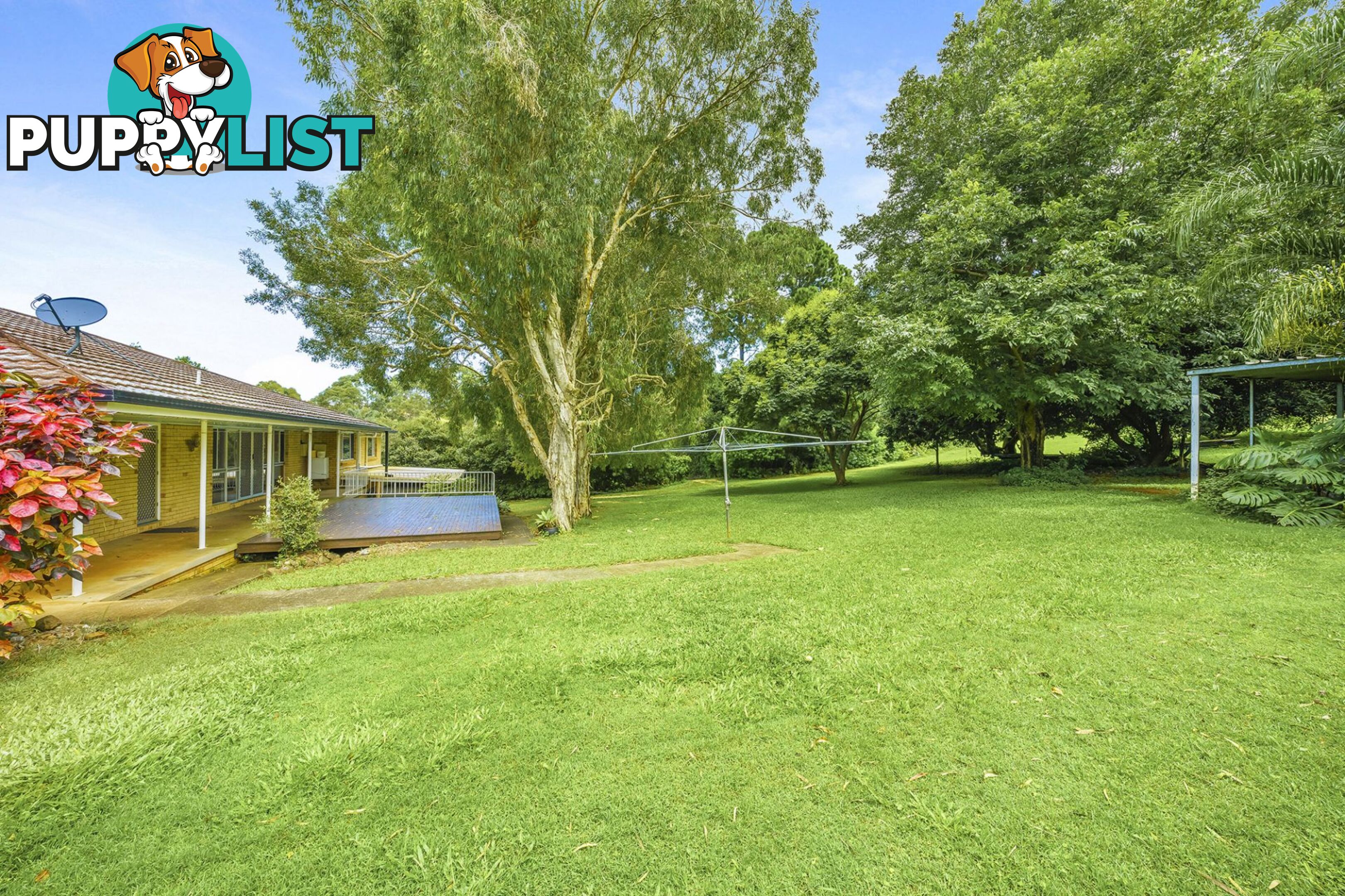 65 Scenic Drive Bilambil Heights NSW 2486