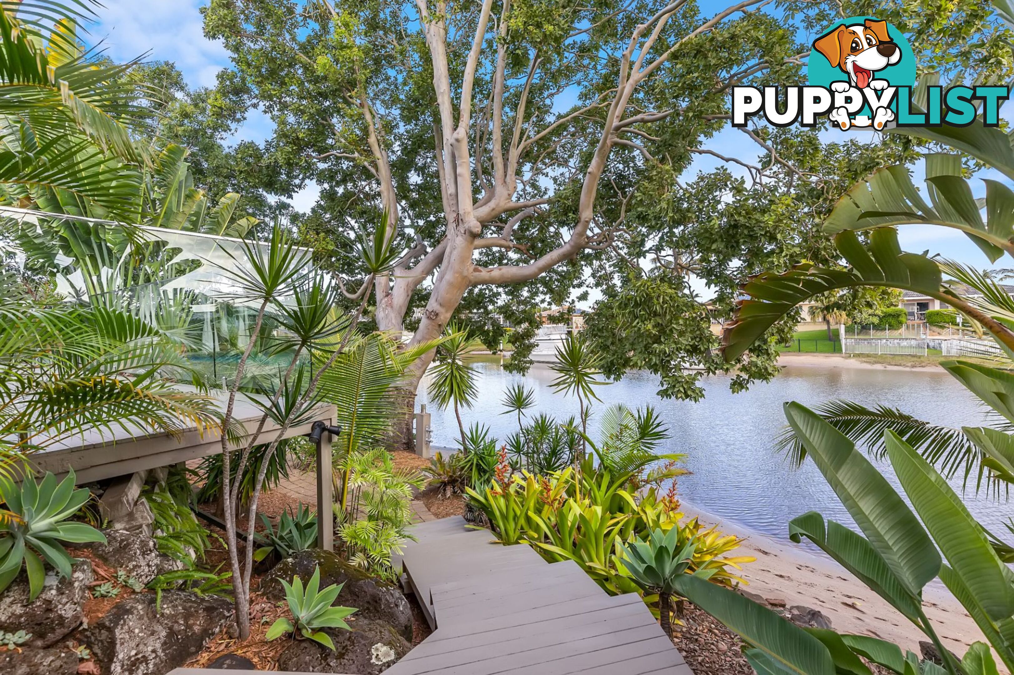 4 Laurel Court Sorrento QLD 4217