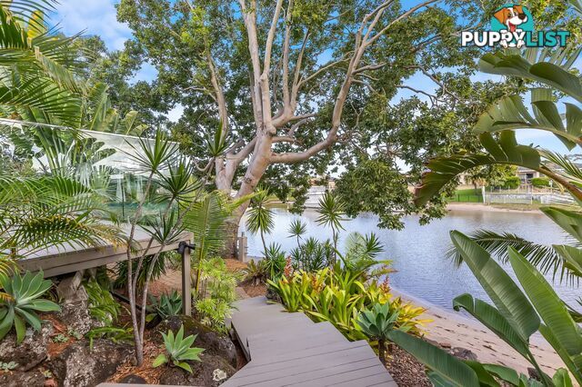 4 Laurel Court Sorrento QLD 4217