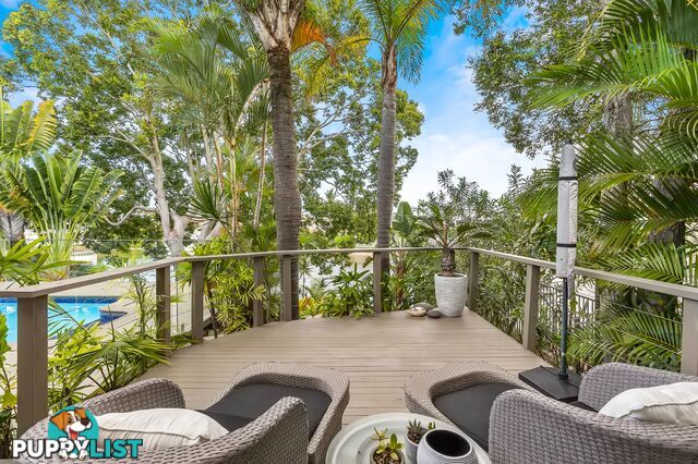 4 Laurel Court Sorrento QLD 4217