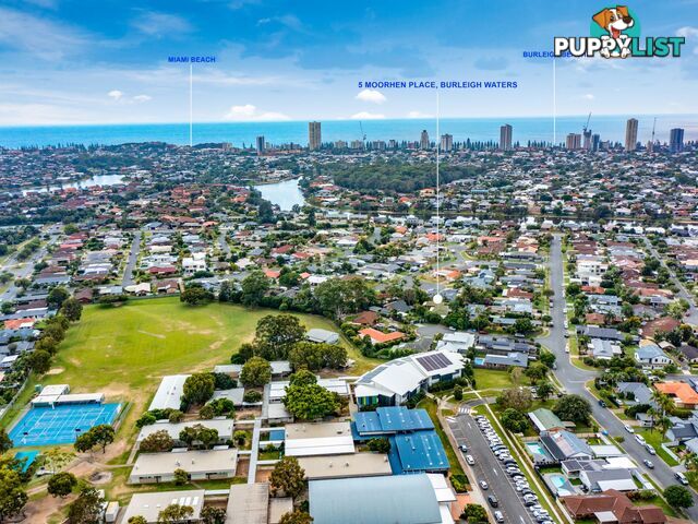 5 Moorhen Place Burleigh Waters QLD 4220