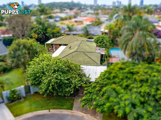 5 Moorhen Place Burleigh Waters QLD 4220