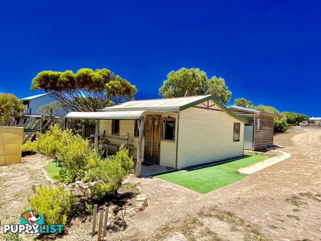 4 Calca Street Sceale Bay SA 5680