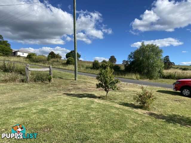 33 Oak Street Killarney QLD 4373