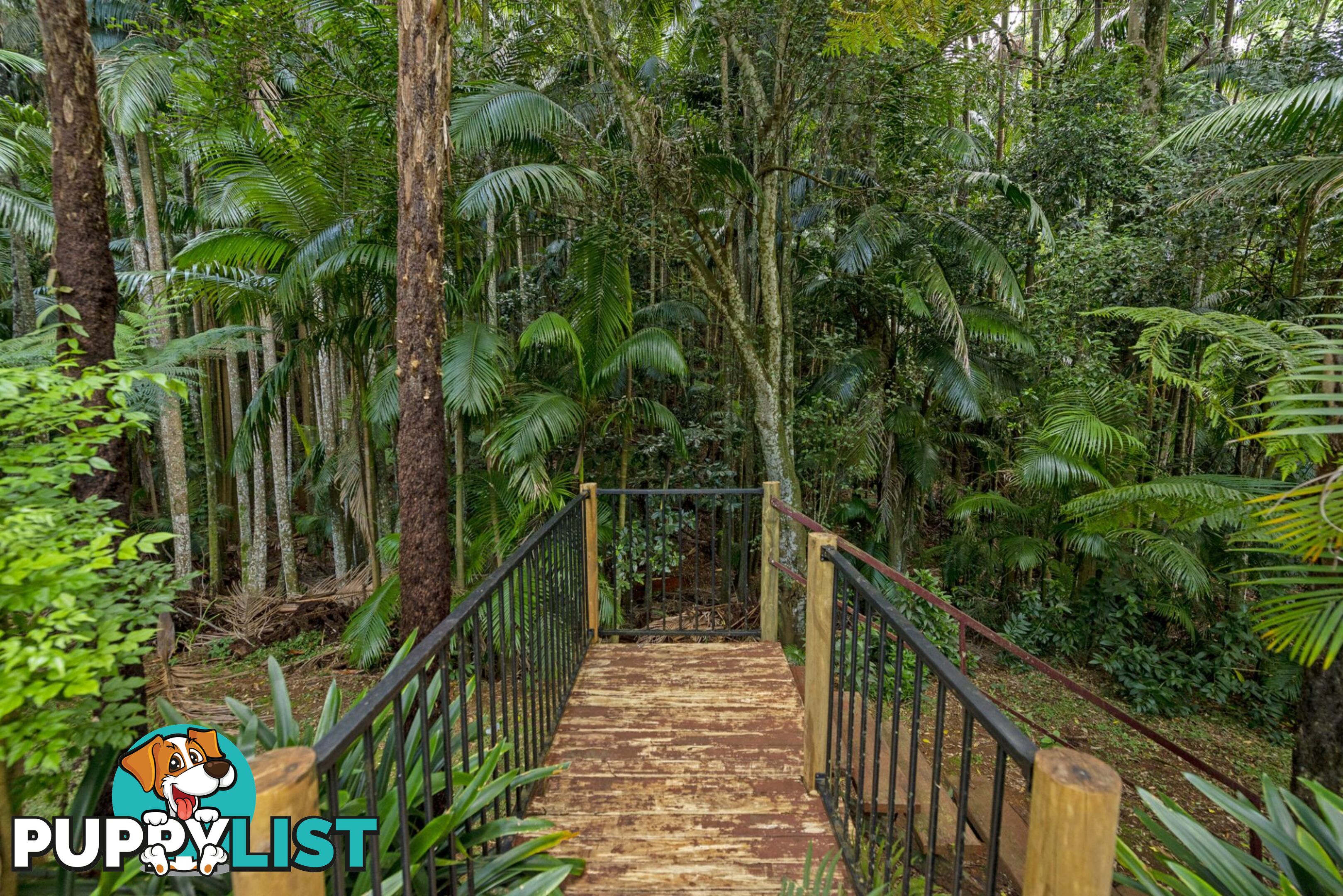 30 Long Road Tamborine Mountain QLD 4272