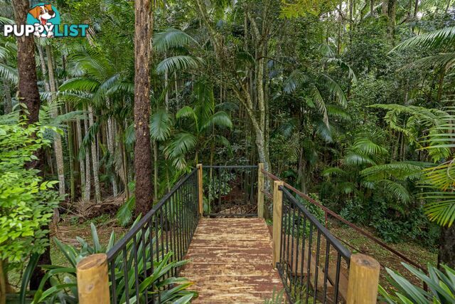 30 Long Road Tamborine Mountain QLD 4272