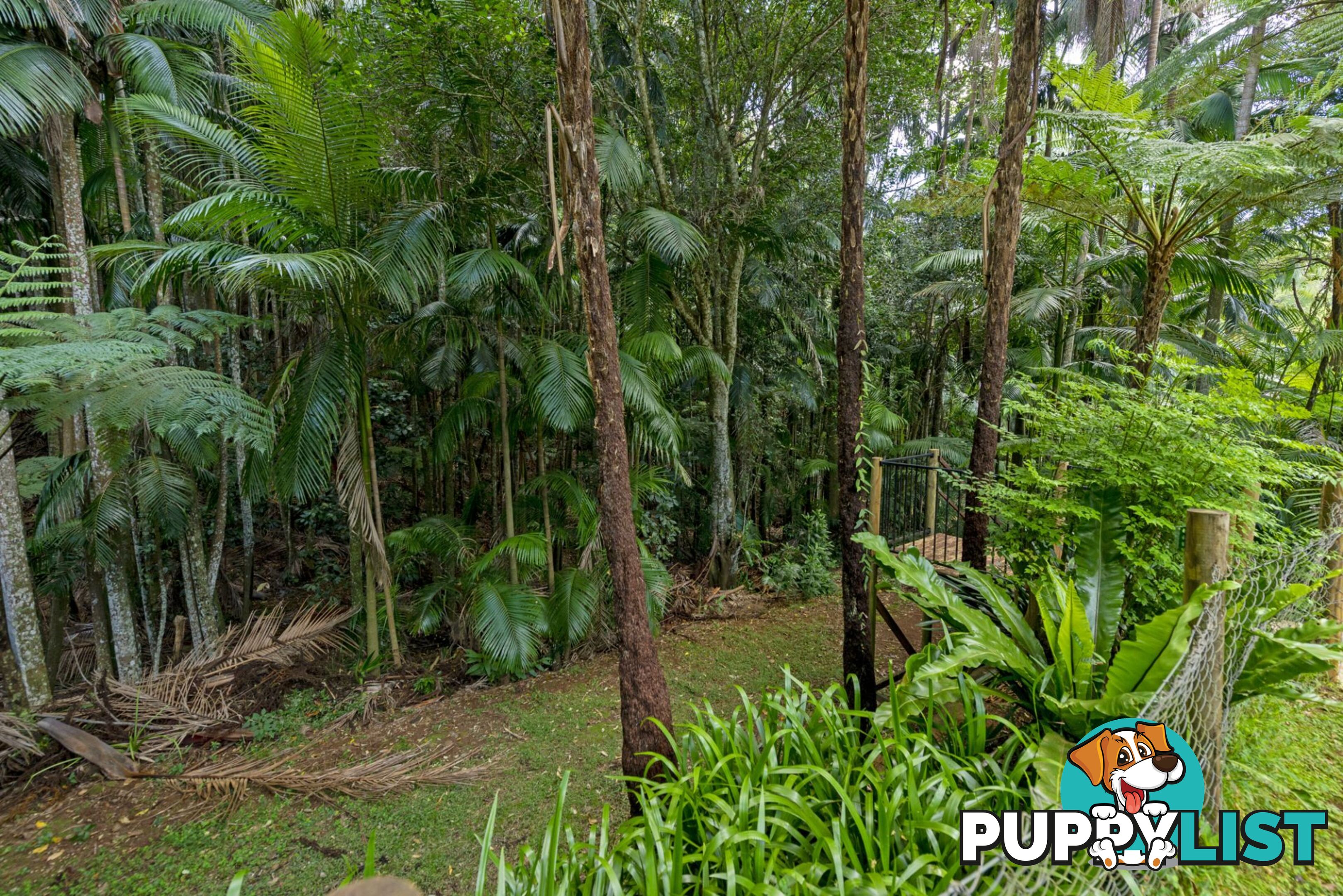 30 Long Road Tamborine Mountain QLD 4272