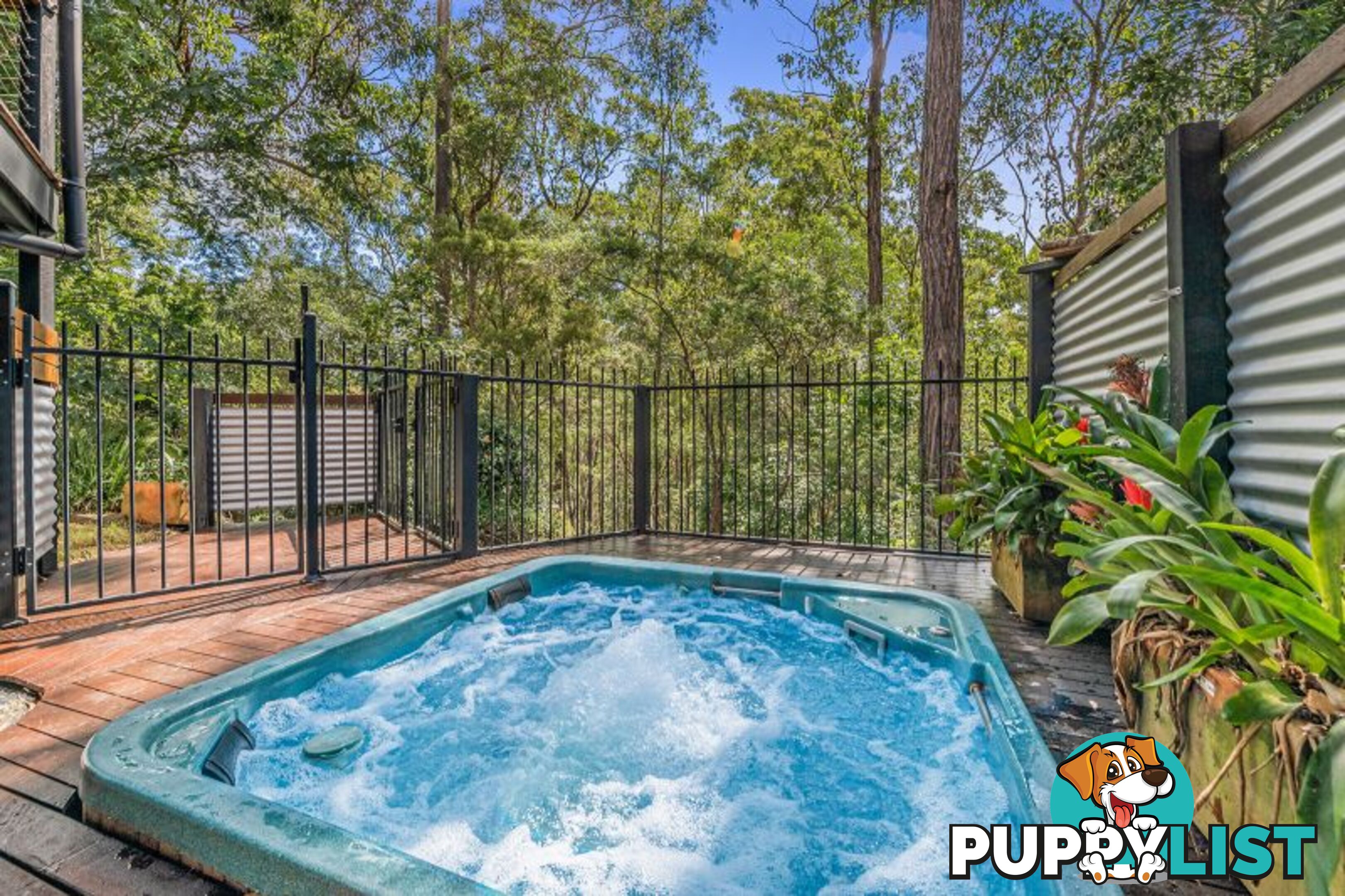 16 Moogerah Court Albany Creek QLD 4035