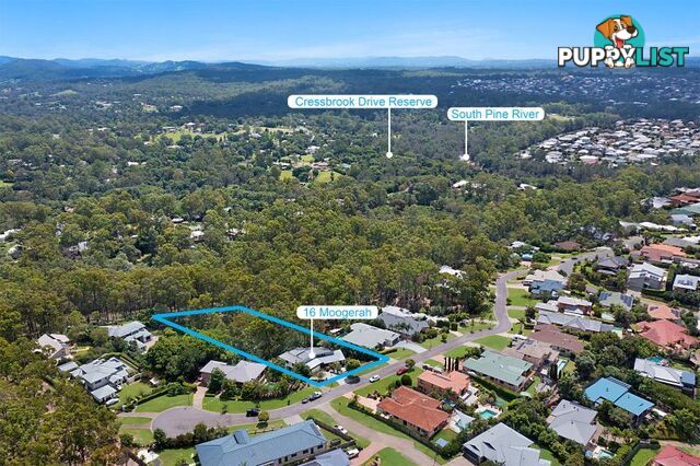 16 Moogerah Court Albany Creek QLD 4035