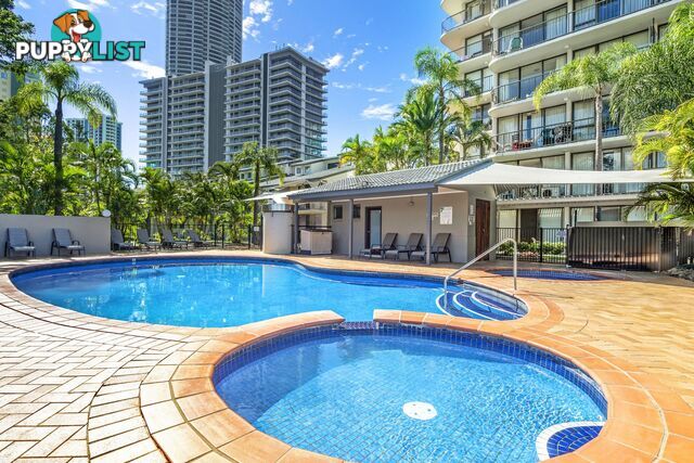 51 43 Enderley Avenue Surfers Paradise QLD 4217