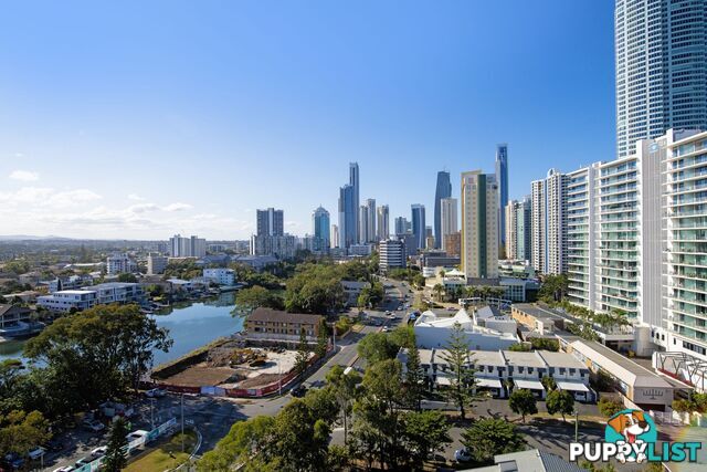 51 43 Enderley Avenue Surfers Paradise QLD 4217