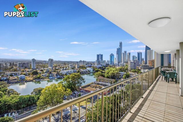 51 43 Enderley Avenue Surfers Paradise QLD 4217