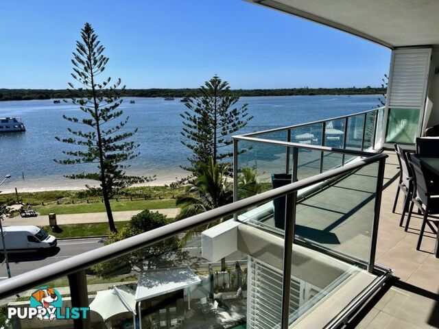 1503 438 Marine Parade Biggera Waters QLD 4216