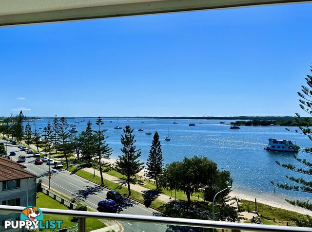 1503 438 Marine Parade Biggera Waters QLD 4216