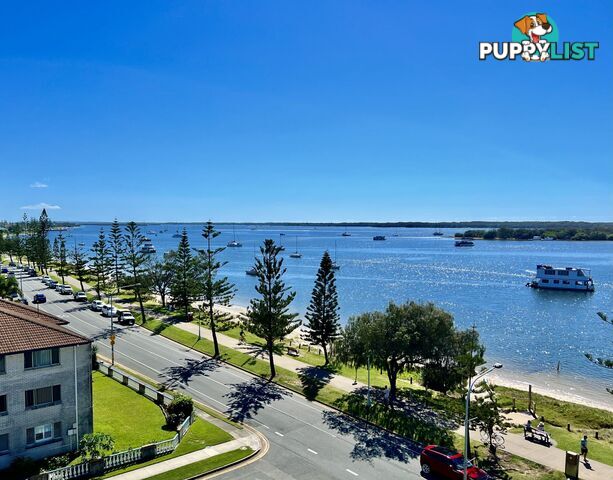 1503 438 Marine Parade Biggera Waters QLD 4216