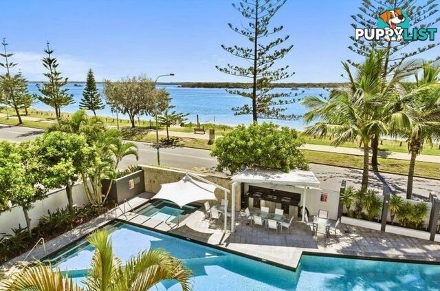 1503 438 Marine Parade Biggera Waters QLD 4216