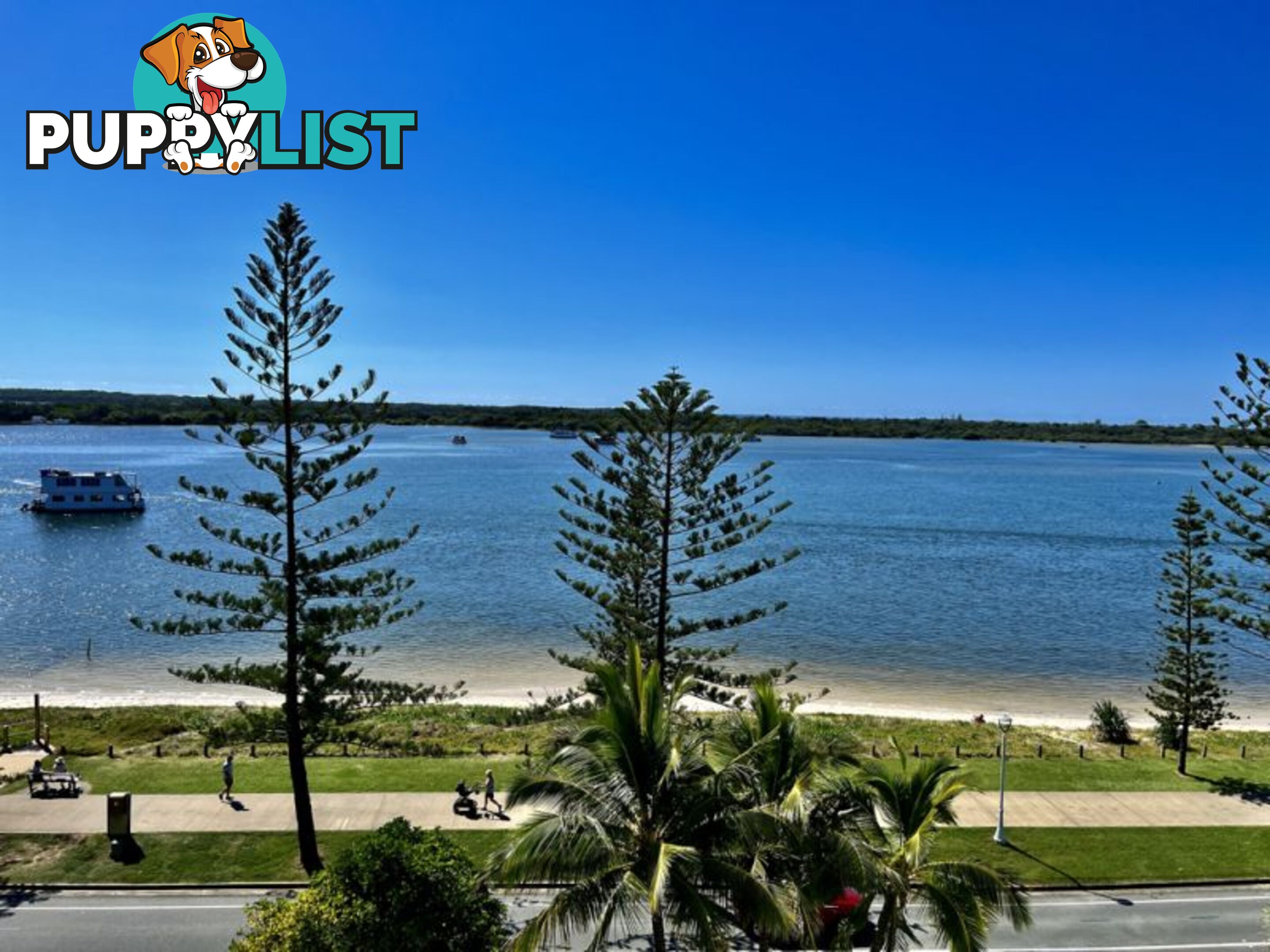 1503 438 Marine Parade Biggera Waters QLD 4216