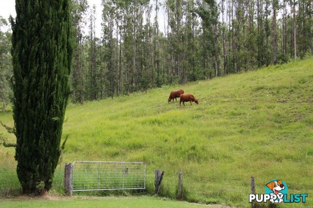 173 Hilderbrands Road Dairy Flat NSW 2474