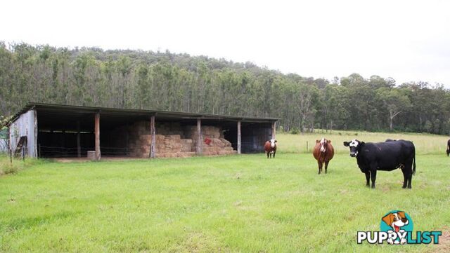 173 Hilderbrands Road Dairy Flat NSW 2474