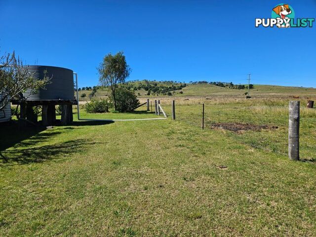 98 Swain Road Plainby QLD 4355