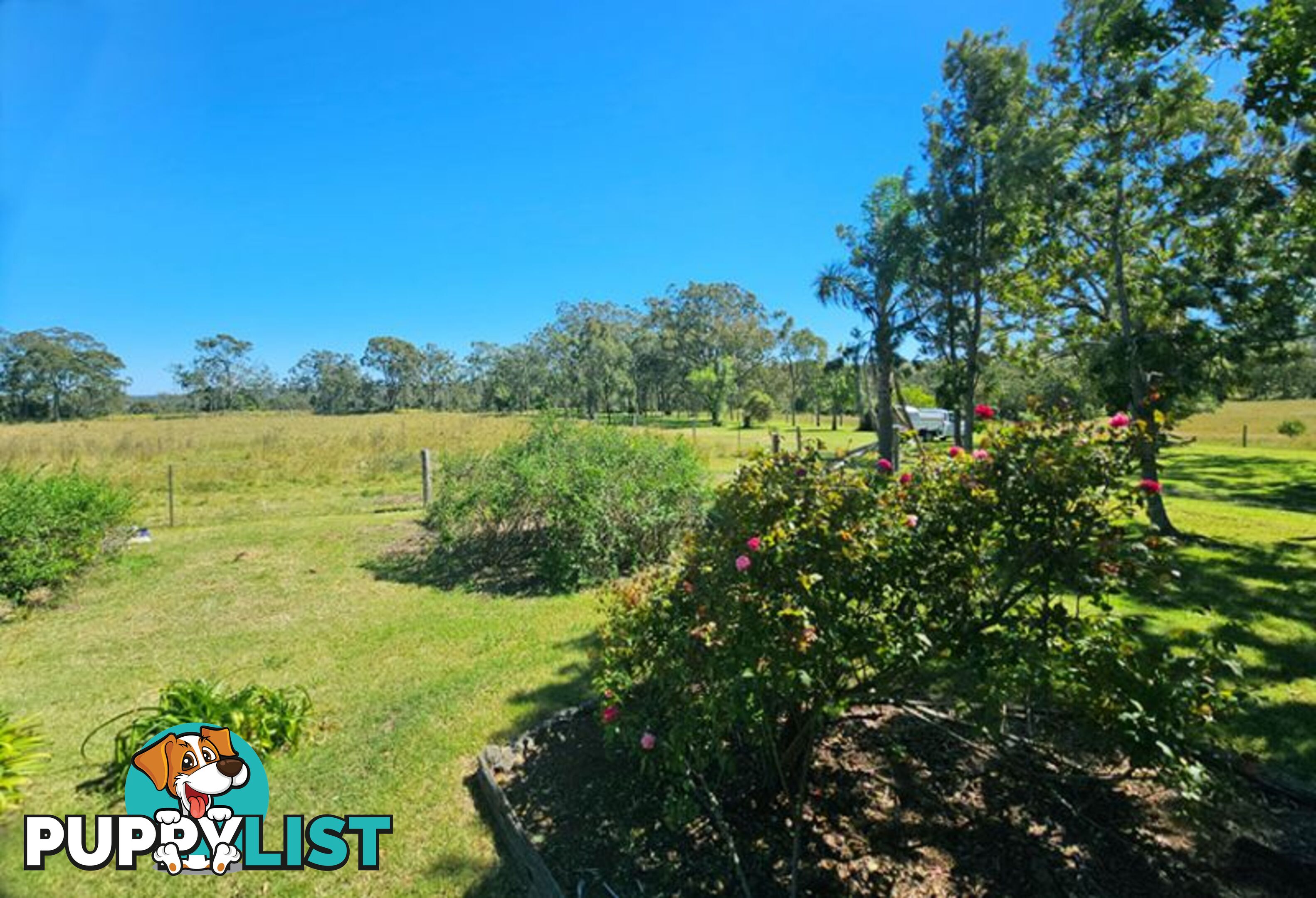 98 Swain Road Plainby QLD 4355