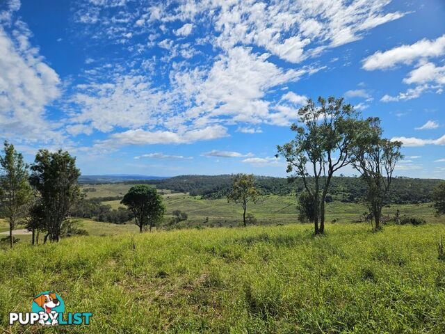 98 Swain Road Plainby QLD 4355