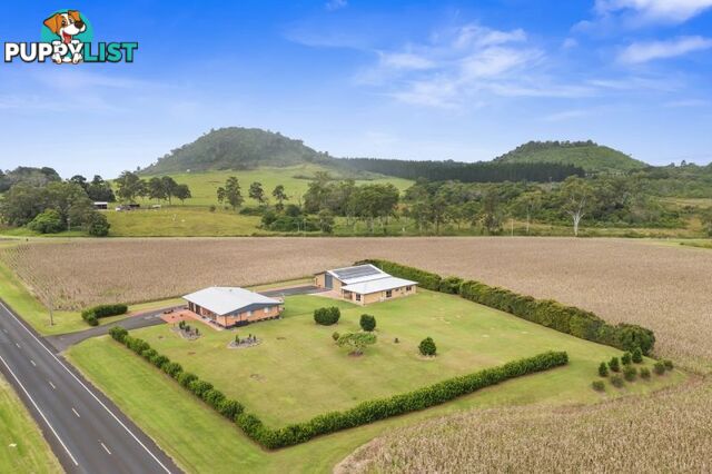 4749 Gillies Range Road Yungaburra QLD 4884