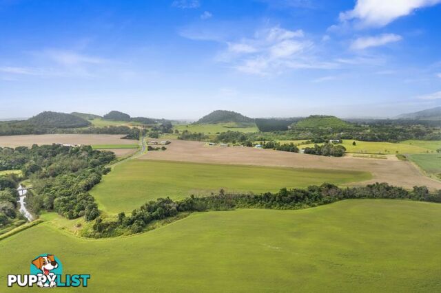 4749 Gillies Range Road Yungaburra QLD 4884