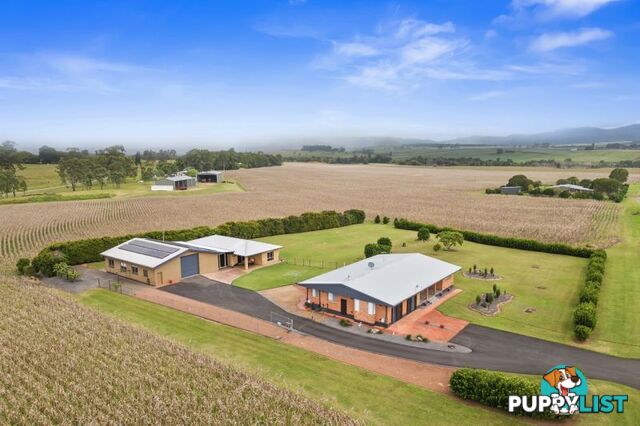 4749 Gillies Range Road Yungaburra QLD 4884