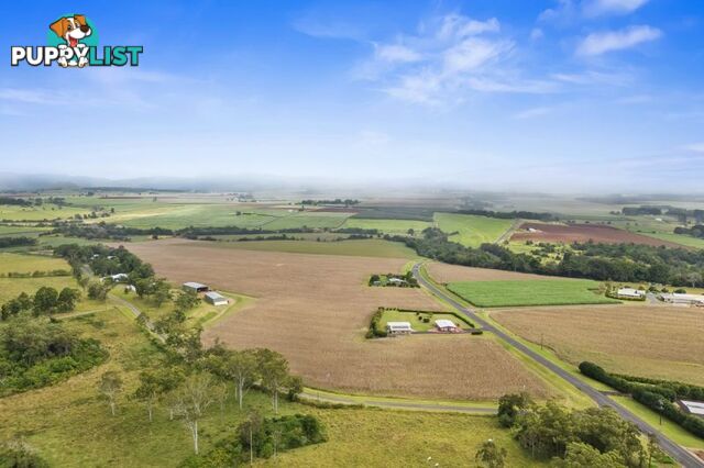 4749 Gillies Range Road Yungaburra QLD 4884