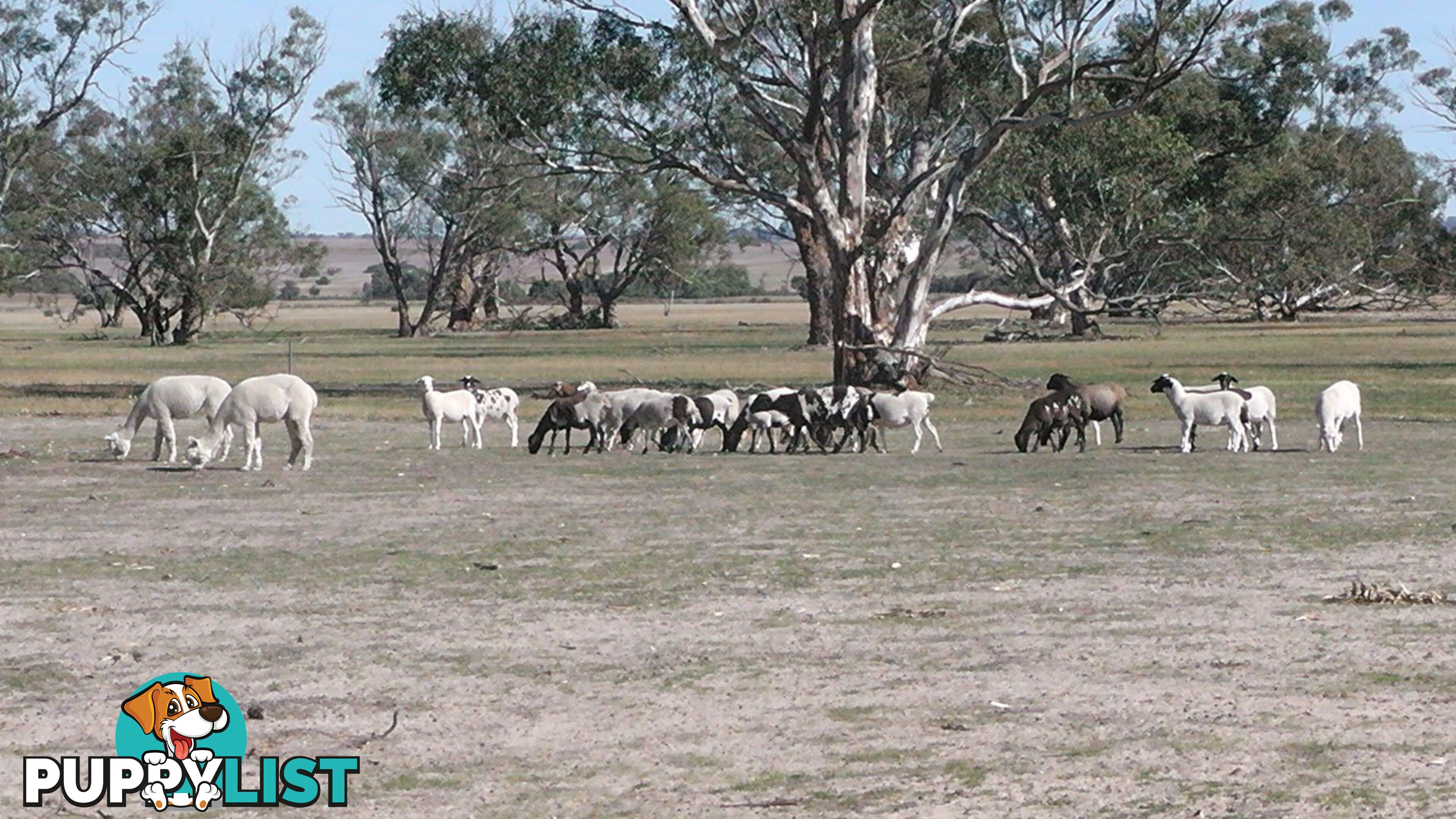 2541 Coomberdale West Road Dandaragan WA 6507