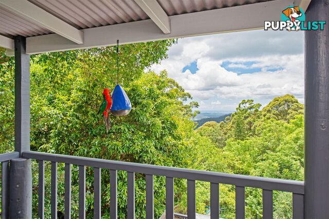 32 Justin Avenue Tamborine Mountain QLD 4272