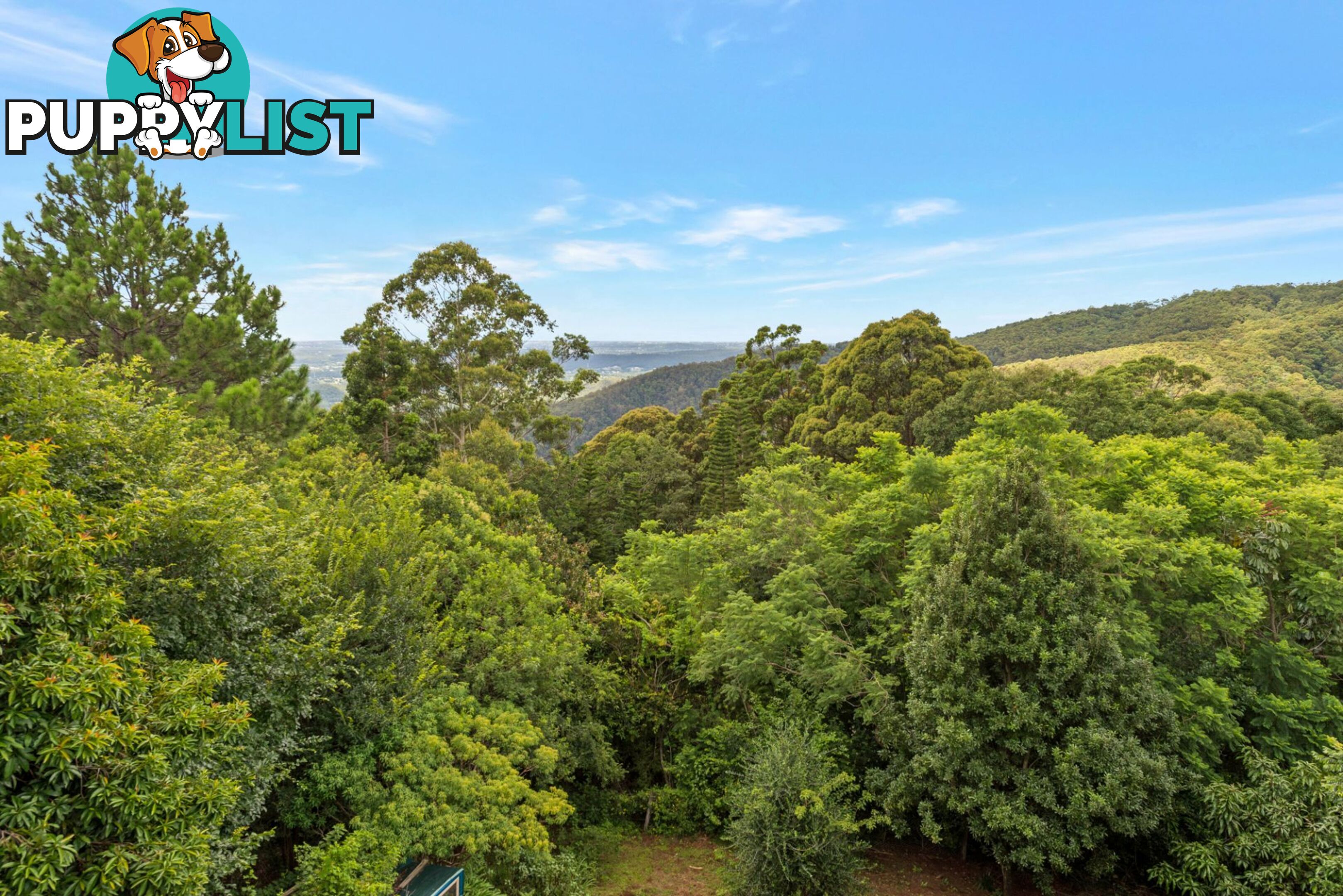 32 Justin Avenue Tamborine Mountain QLD 4272