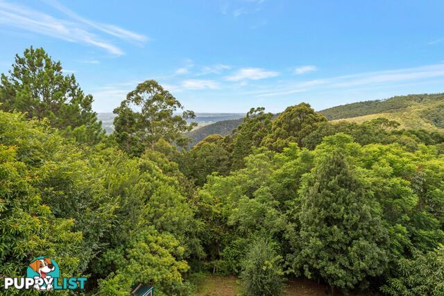 32 Justin Avenue Tamborine Mountain QLD 4272