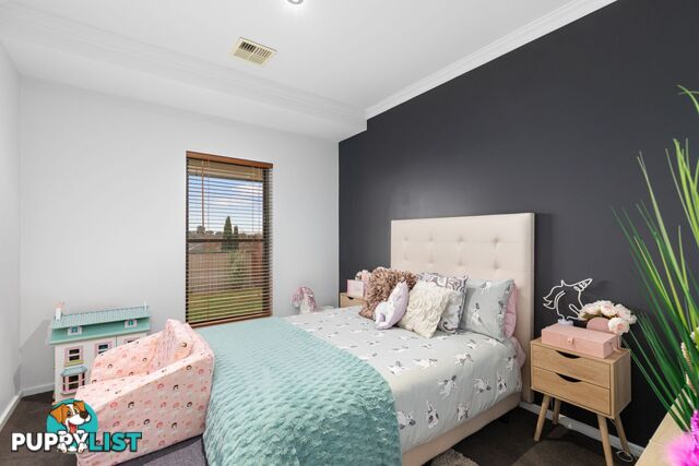 11 Colonel Light Place Mount Gambier SA 5290