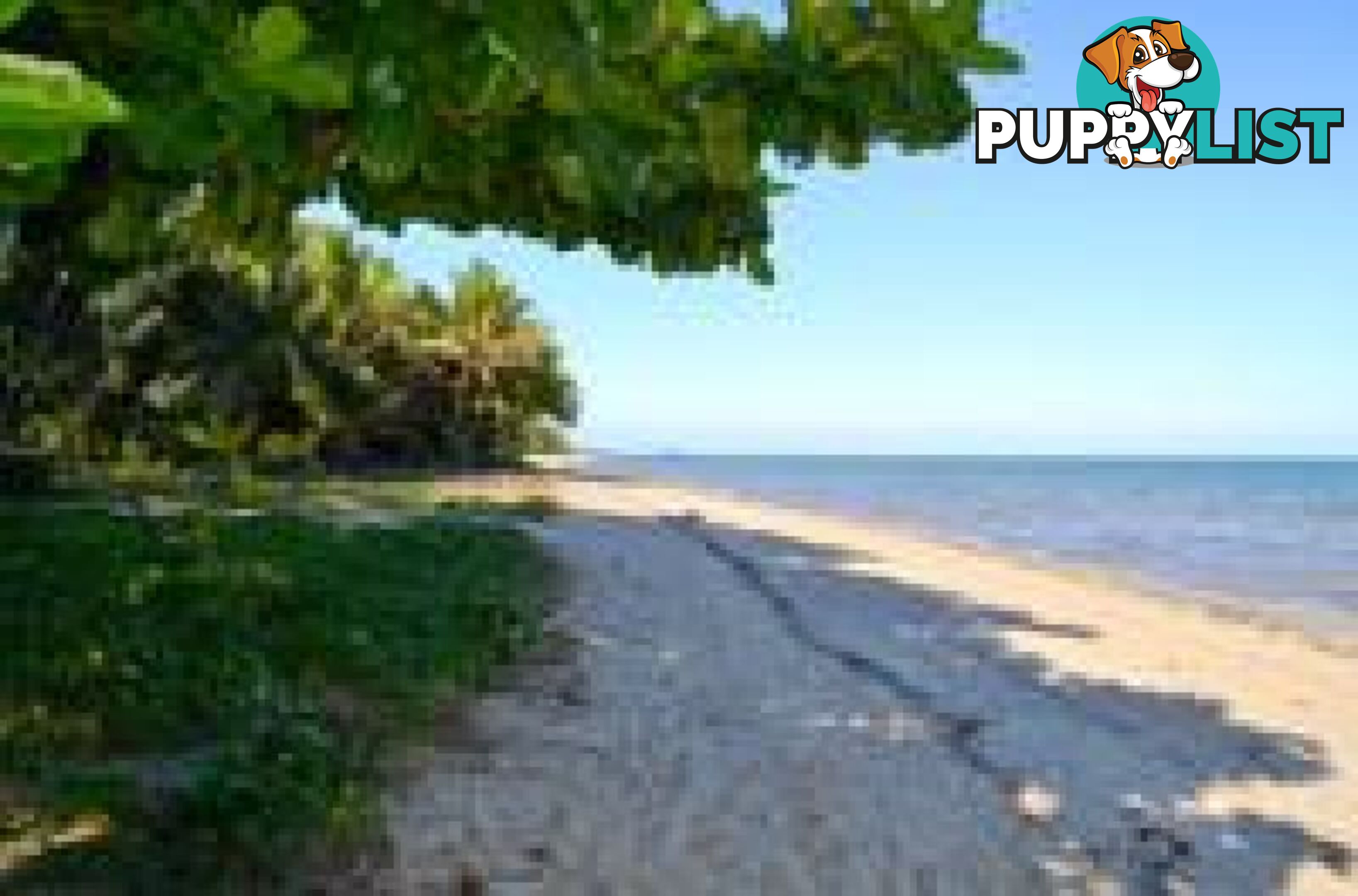 37 Rebecca Jane Parade Kurrimine Beach QLD 4871