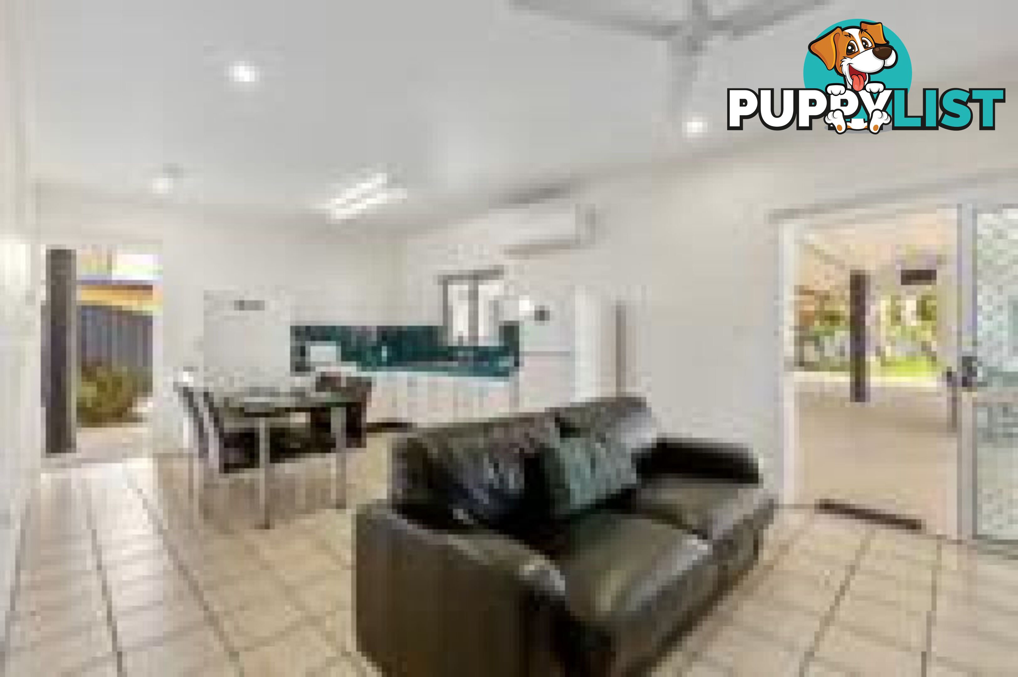 37 Rebecca Jane Parade Kurrimine Beach QLD 4871