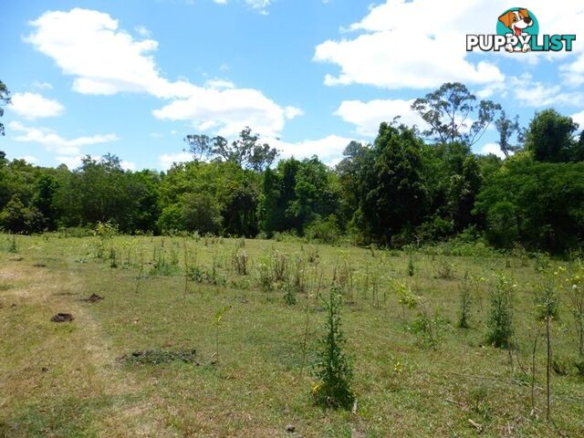 Wilsons Pocket QLD 4570