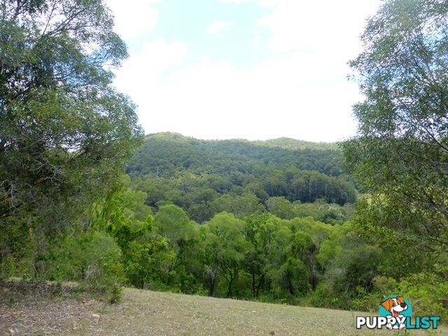 Wilsons Pocket QLD 4570