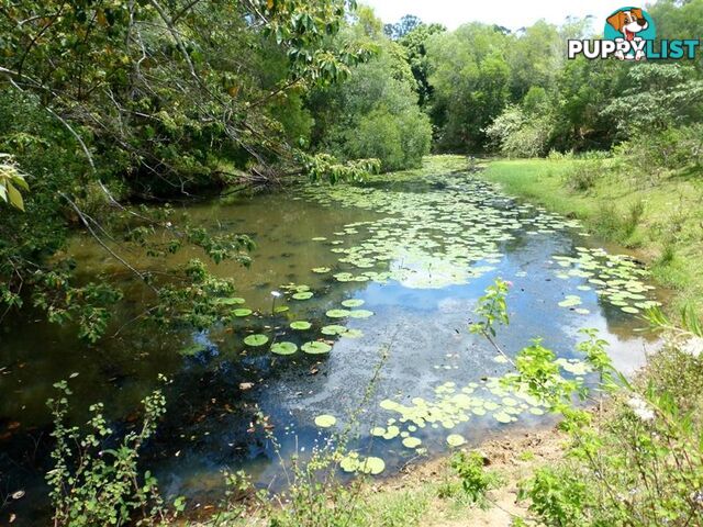 Wilsons Pocket QLD 4570