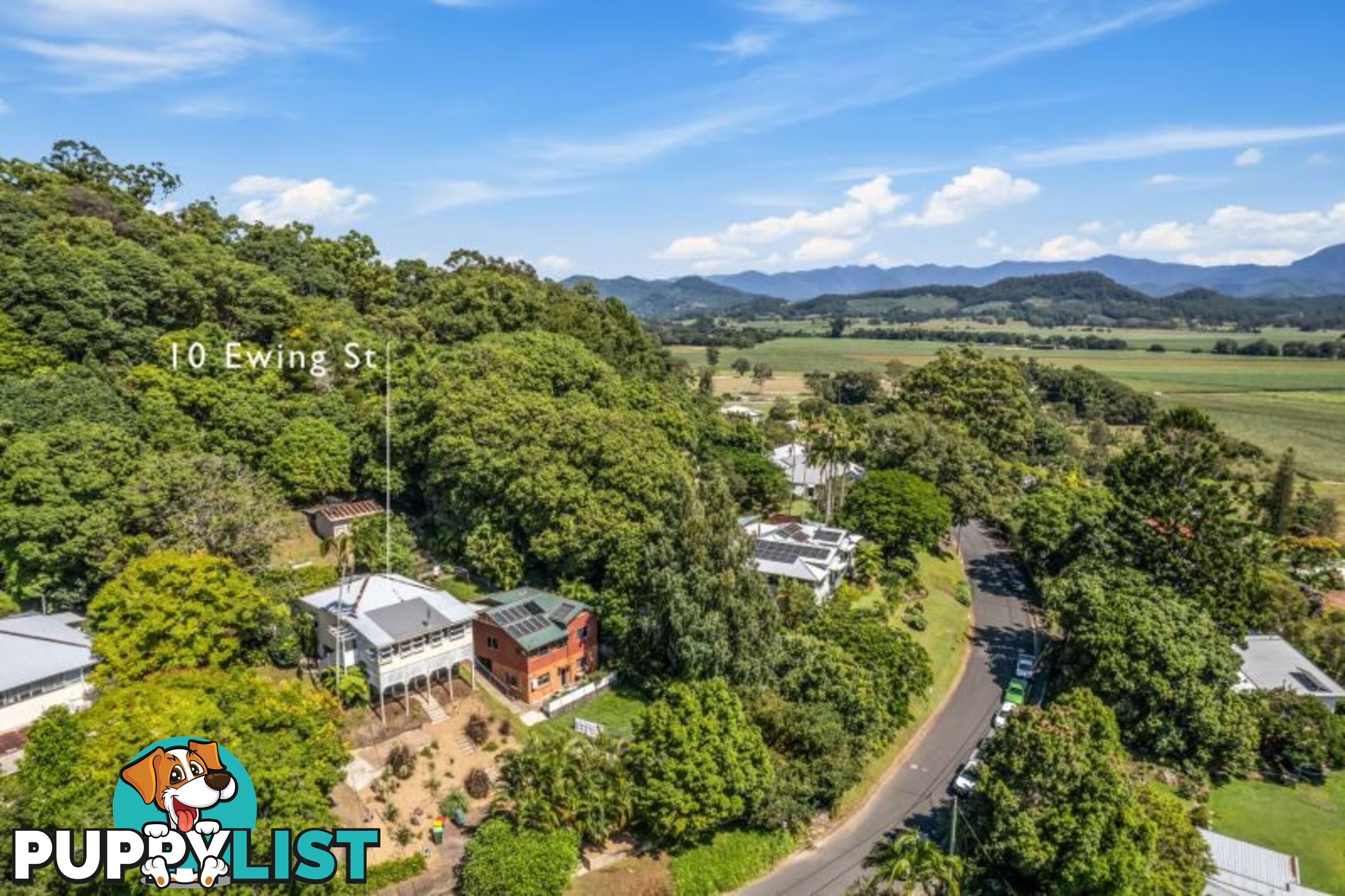 10 Ewing Street Murwillumbah NSW 2484