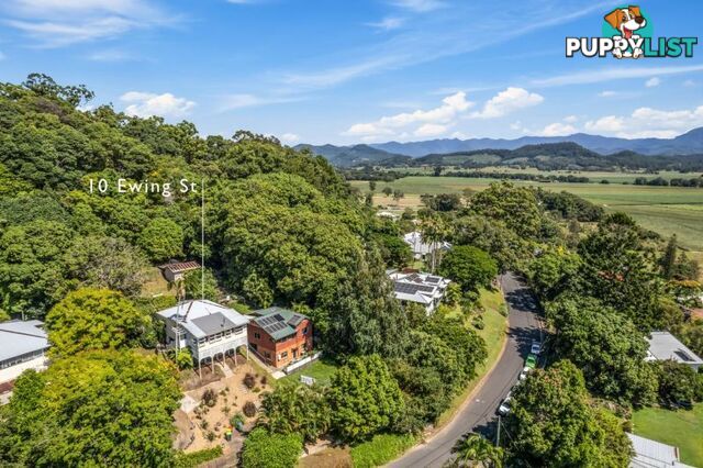 10 Ewing Street Murwillumbah NSW 2484