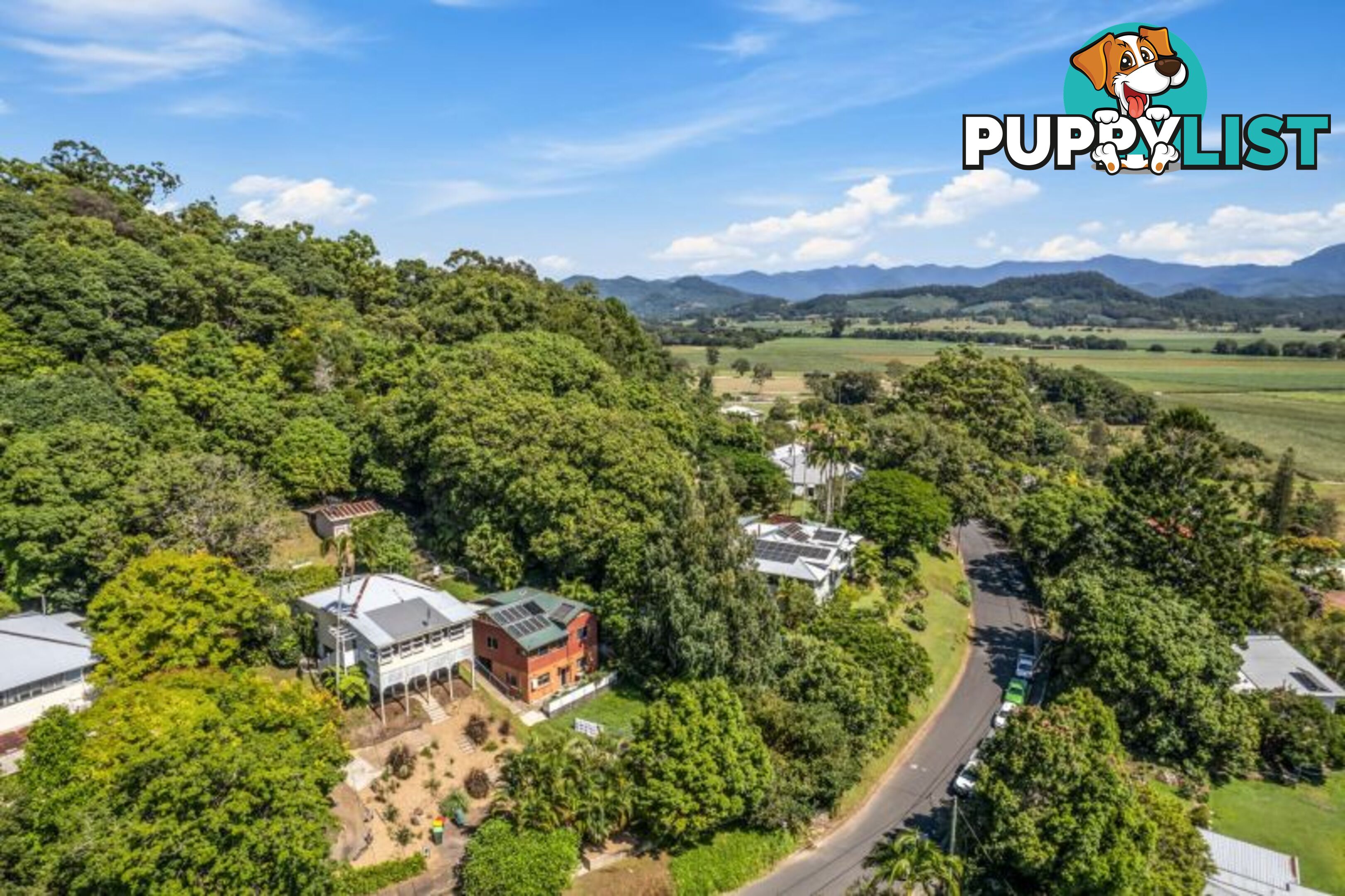 10 Ewing Street Murwillumbah NSW 2484