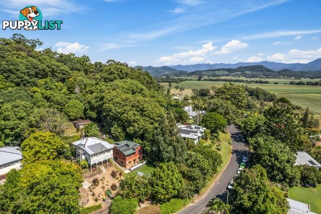 10 Ewing Street Murwillumbah NSW 2484