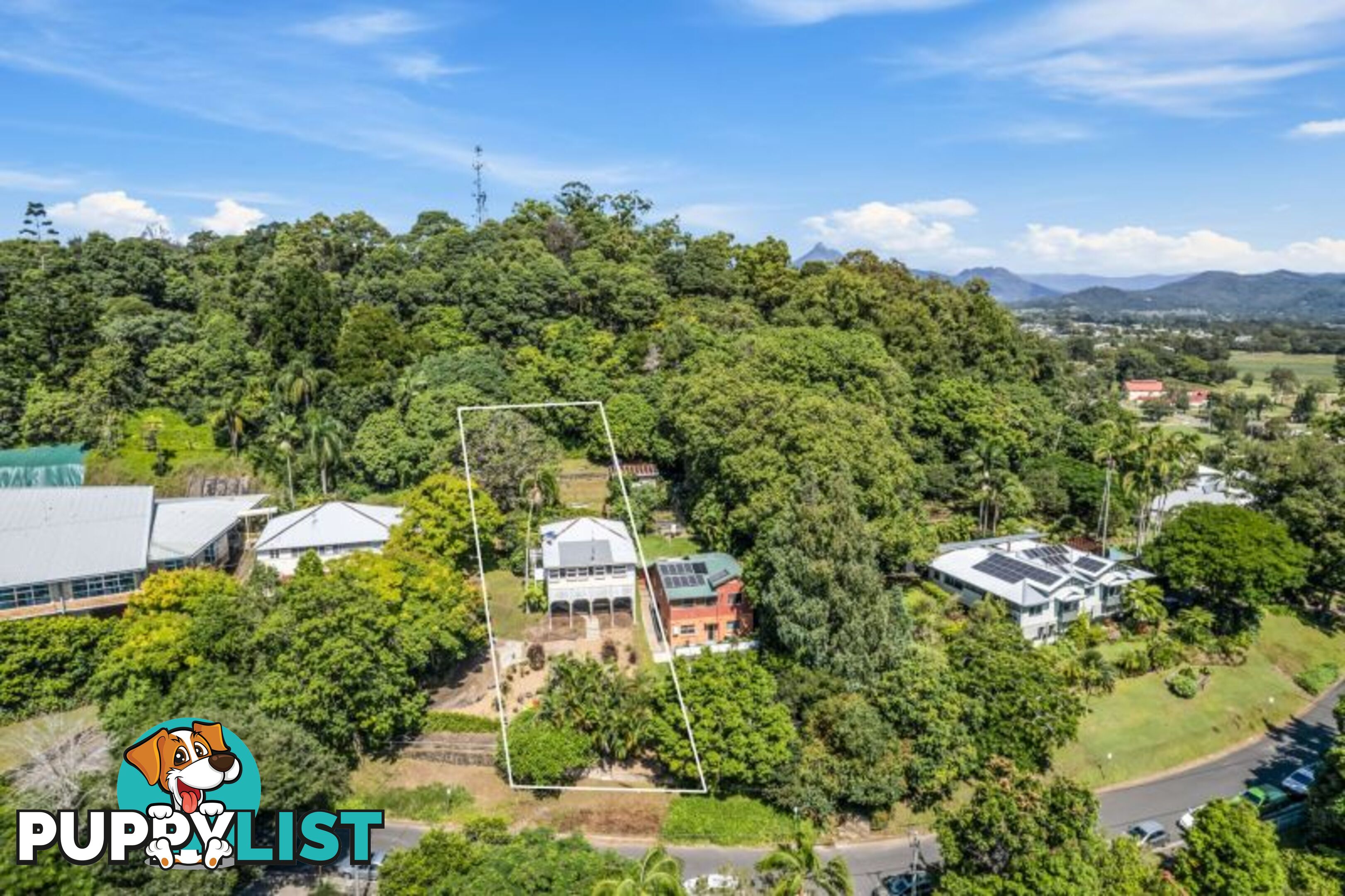 10 Ewing Street Murwillumbah NSW 2484