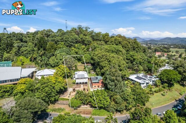 10 Ewing Street Murwillumbah NSW 2484