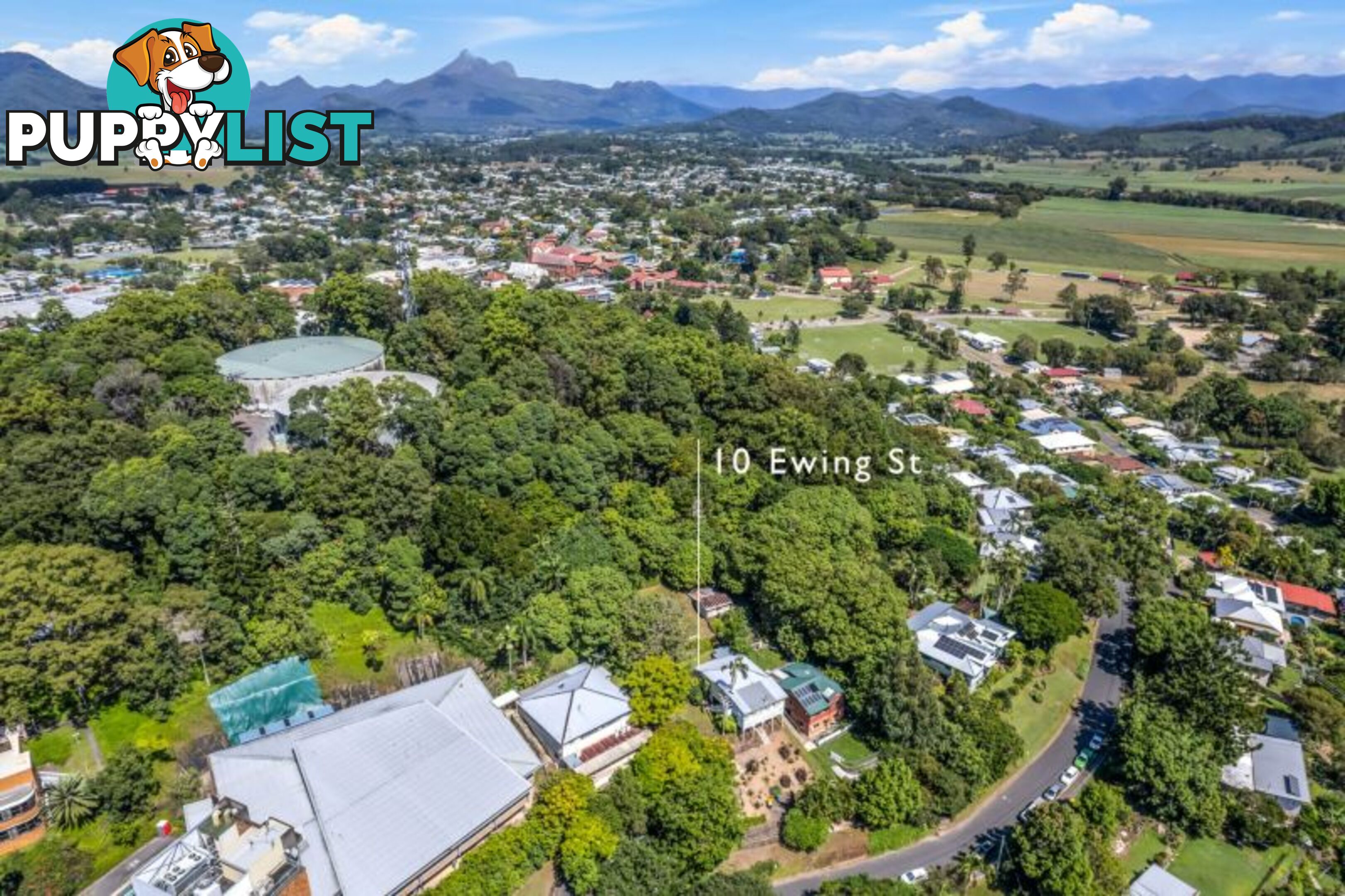 10 Ewing Street Murwillumbah NSW 2484