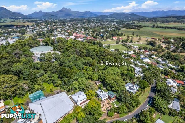 10 Ewing Street Murwillumbah NSW 2484