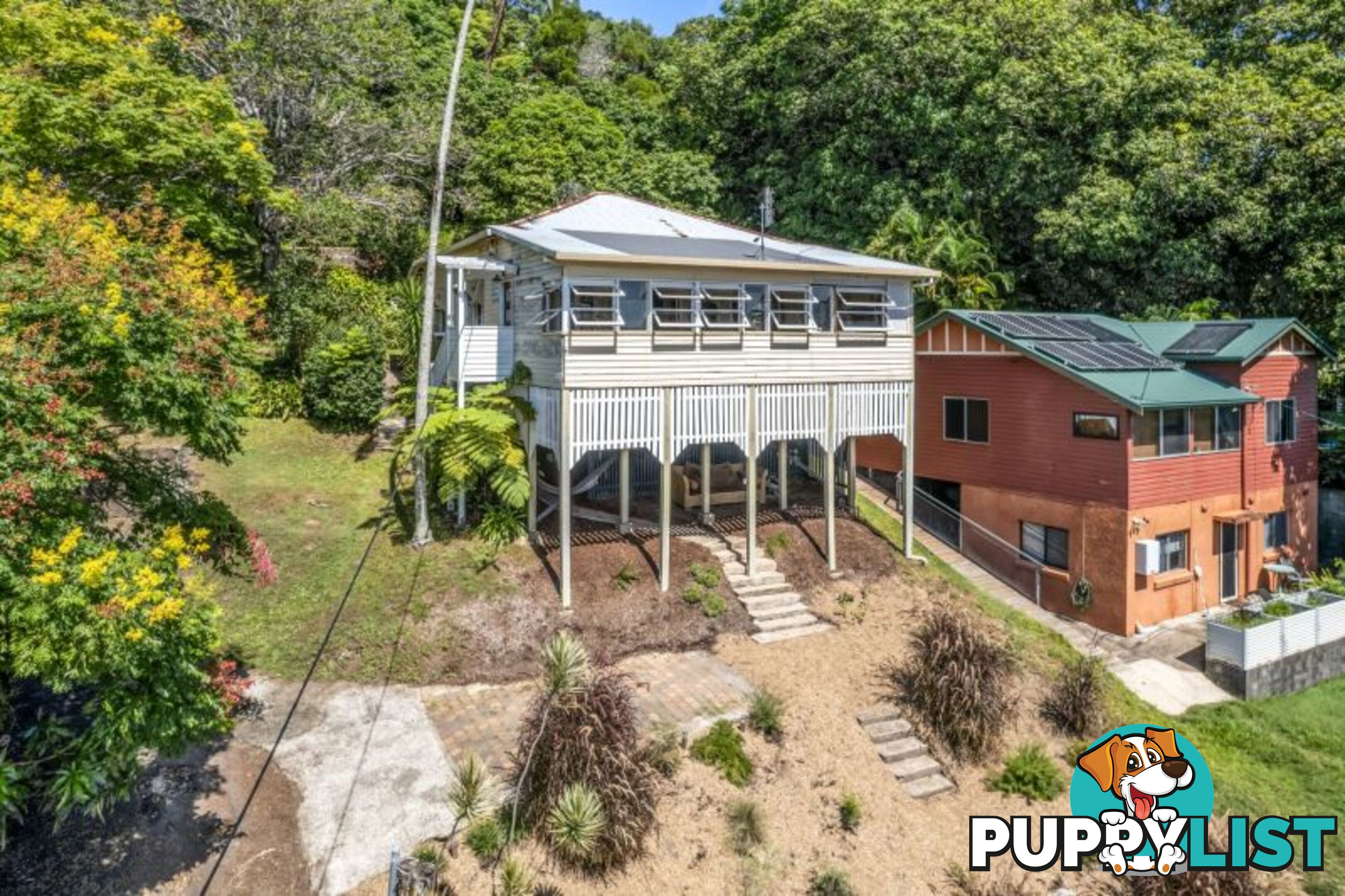 10 Ewing Street Murwillumbah NSW 2484