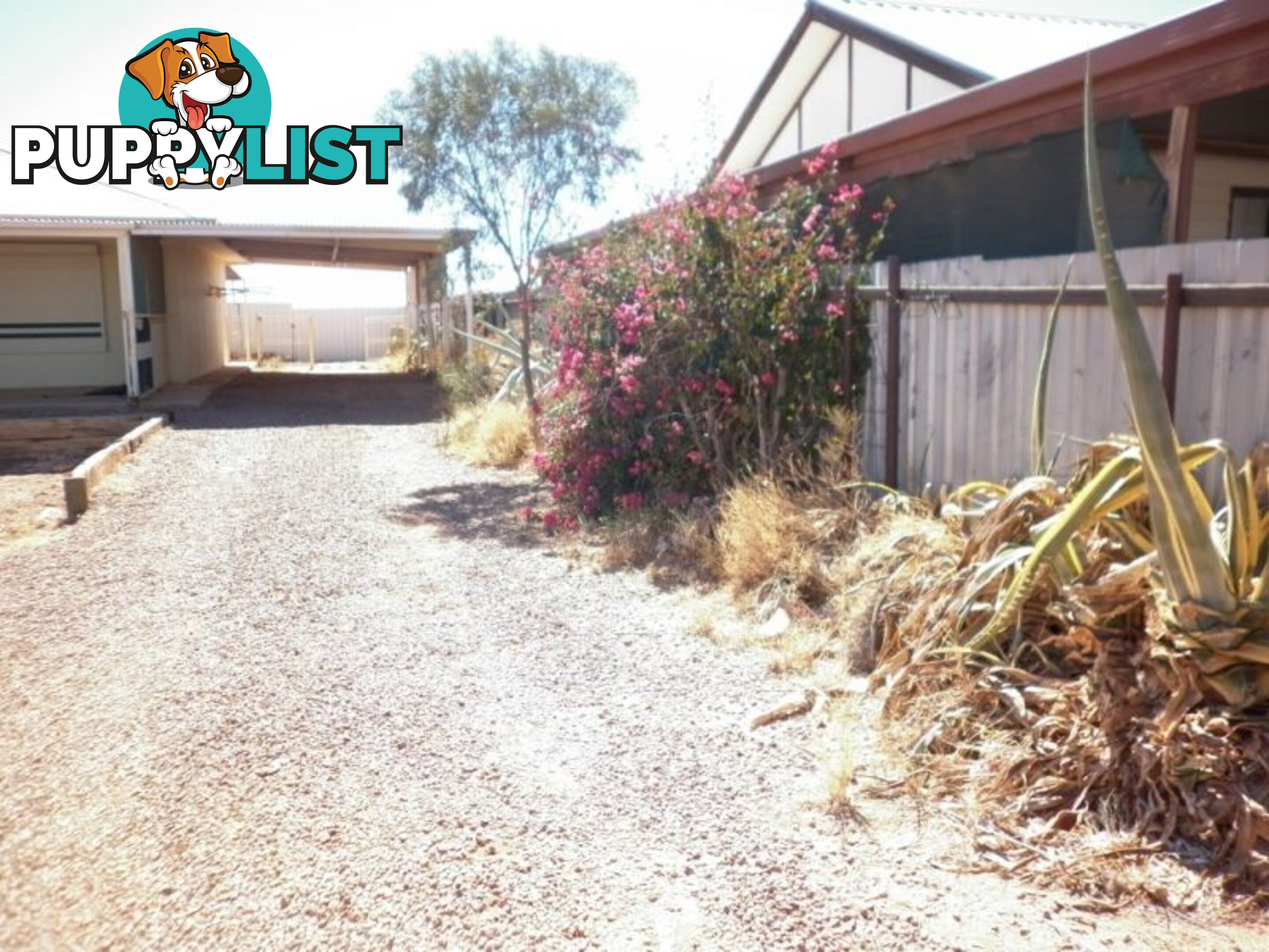 617 Flinders Street Coober Pedy SA 5723